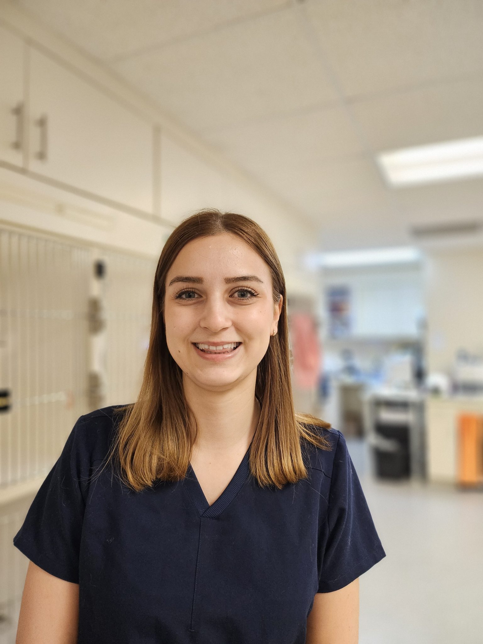 CG2024 Cats Only Veterinary Clinic